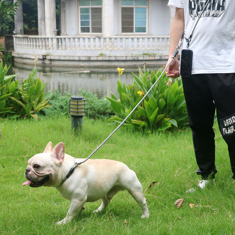 Hands Free Dog Leash